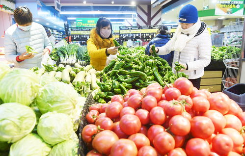 丰盈“菜篮子” 农副产品销售的多元路径与发展策略