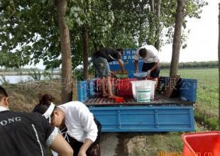 供应优质黄鳝苗及配套养殖技术，助您开启高效生态养殖之路