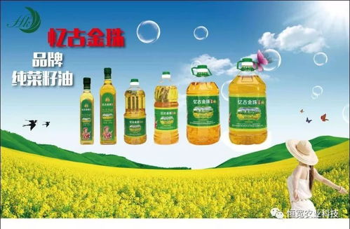 富源菜籽油创业人 南博会上的农副产品销售新篇章