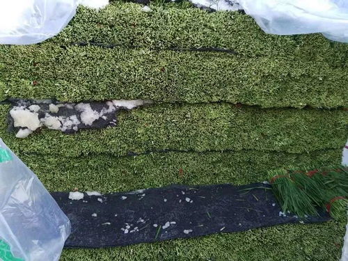 连云港农副产品批发市场 畅通本地蔬菜销售通道，助力农副产品高效流通